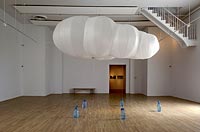 Experimental Plant incubator